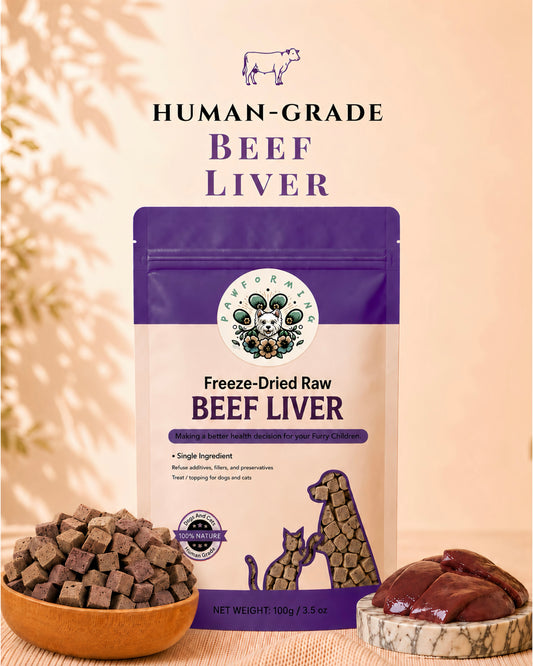 Freeze Dried Beef Liver Cubes