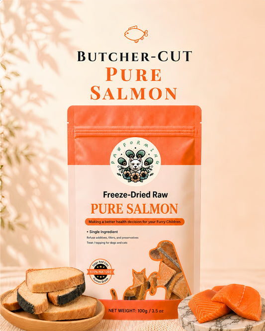 Premium Freeze Dried Salmon Slice