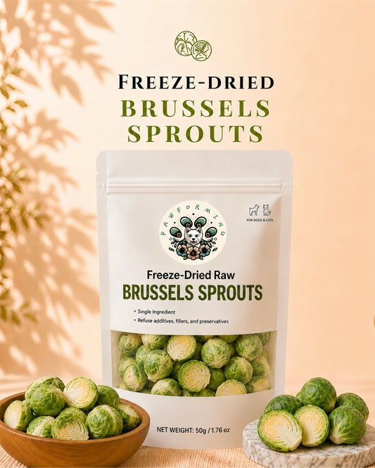 Freeze Dried Brussels Sprouts