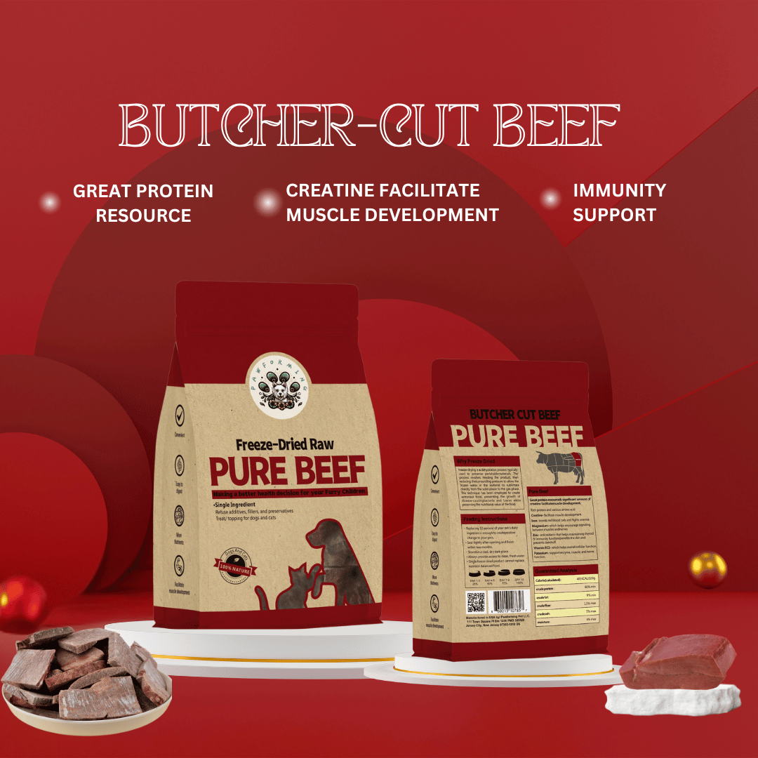Freeze Dried Beef Slice