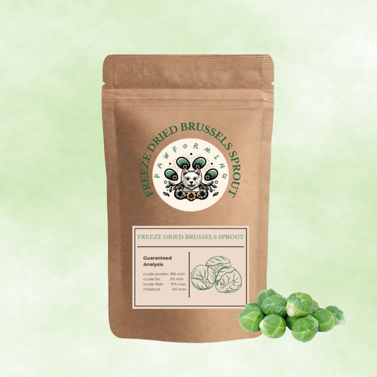 Freeze Dried Brussels Sprouts