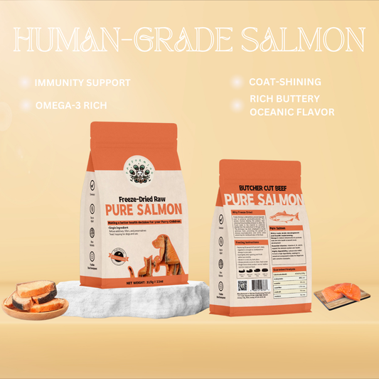 Premium Freeze Dried Salmon Slice