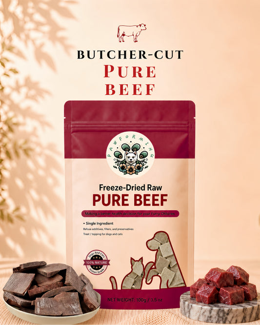 Freeze Dried Beef Slice