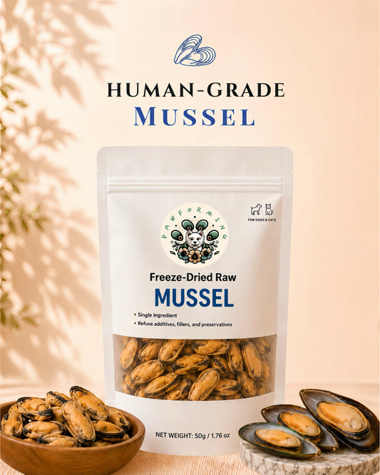 Freeze Dried Mussel